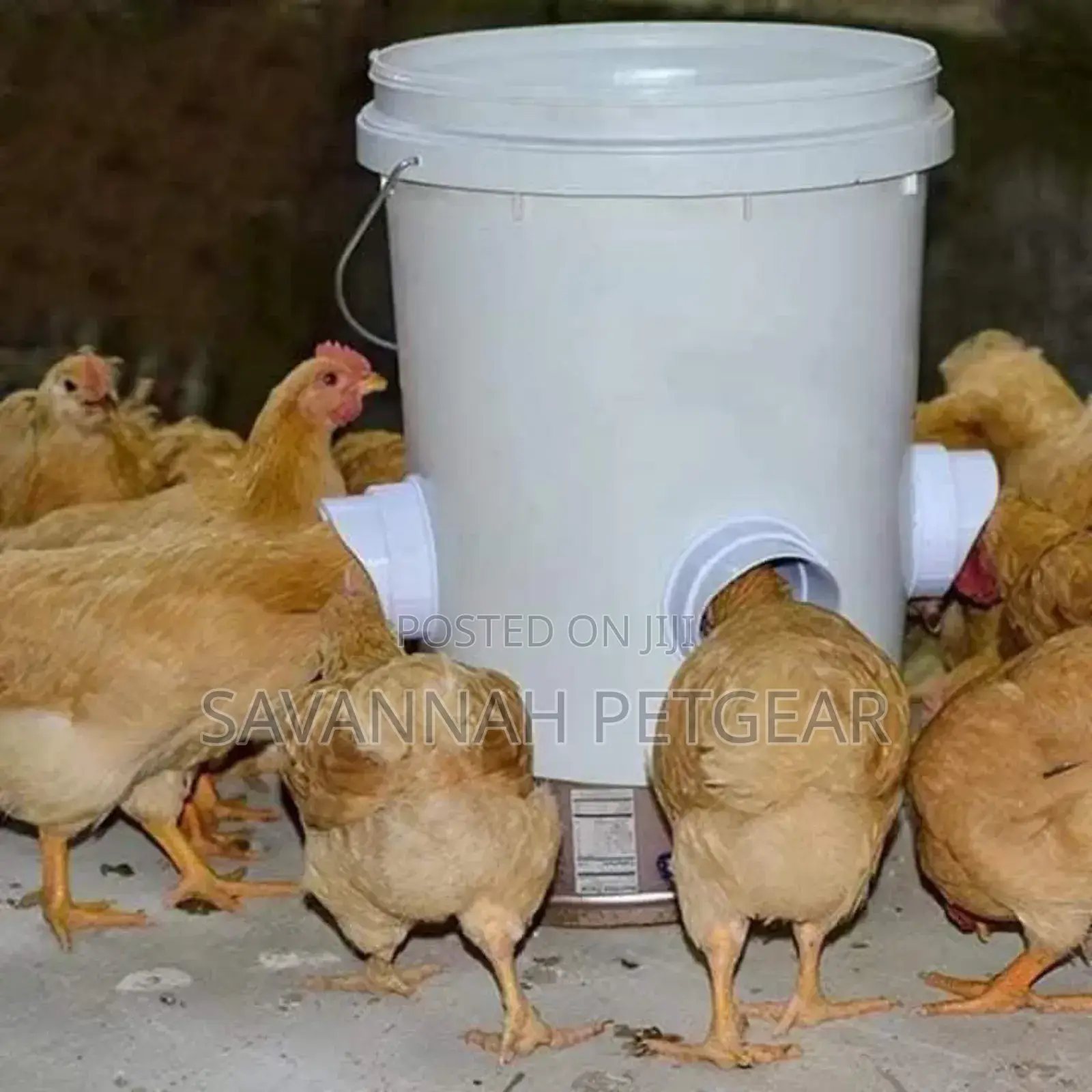 New Poultry Pro Feeder Diy Port PVC Gravity Fed Chicken Feeder