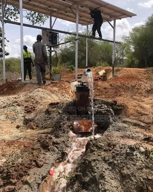 Borehole Solarisation