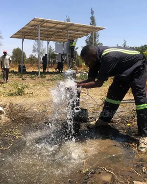 Borehole Solarisation