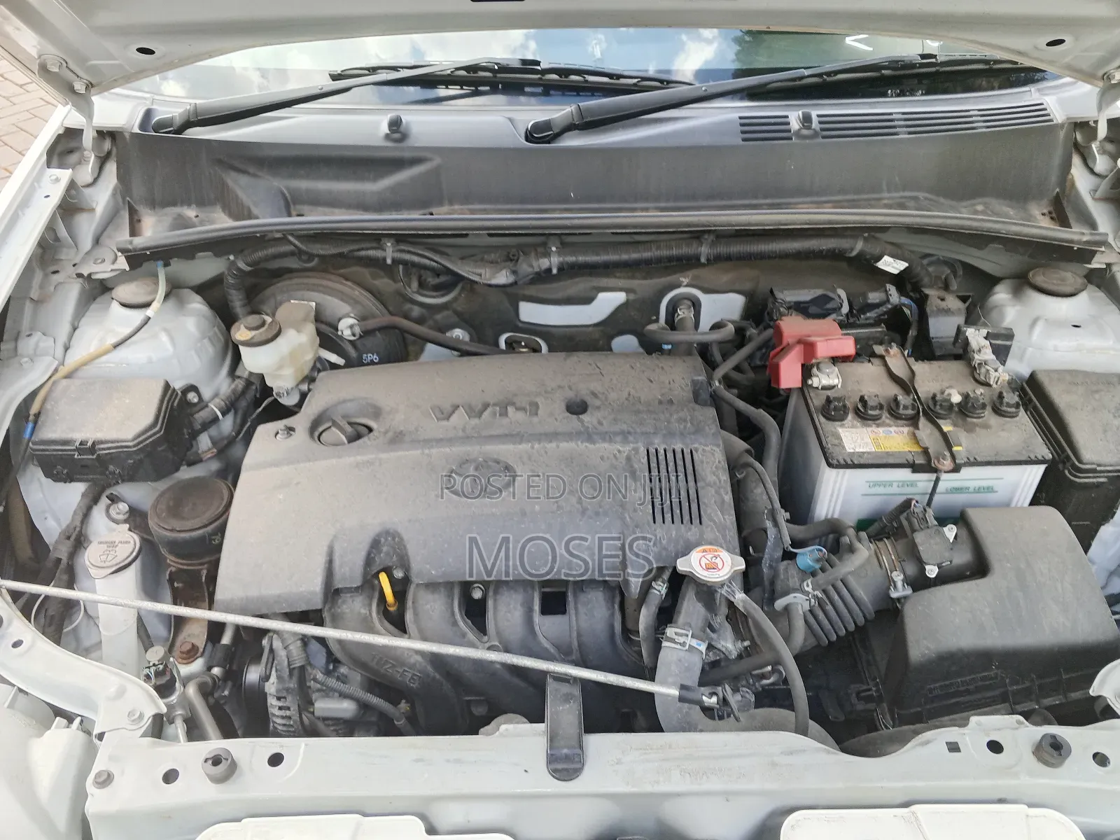 Toyota Succeed 2019 White