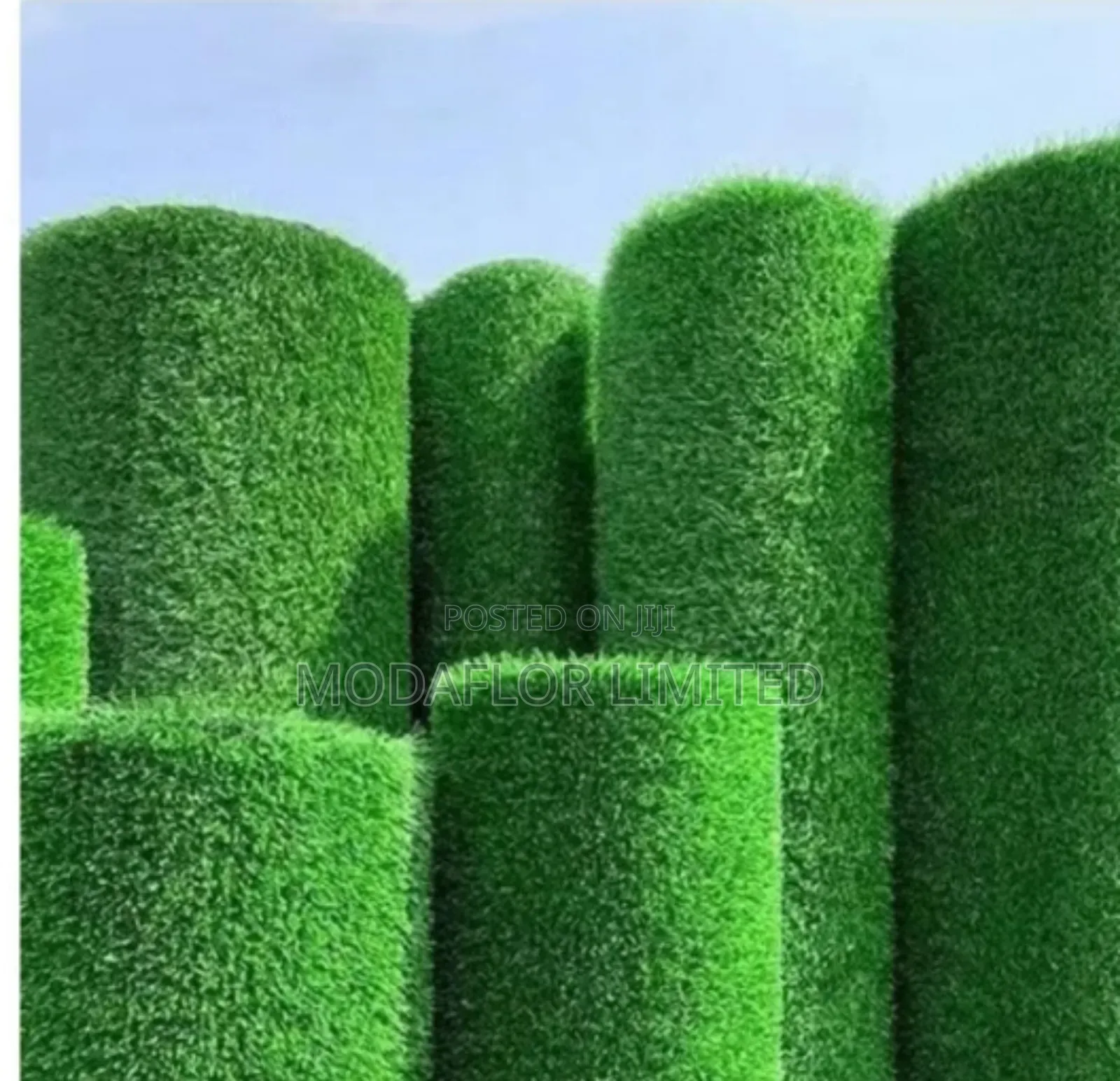 Evergreen Grass Carpet – Bring Nature Indoors