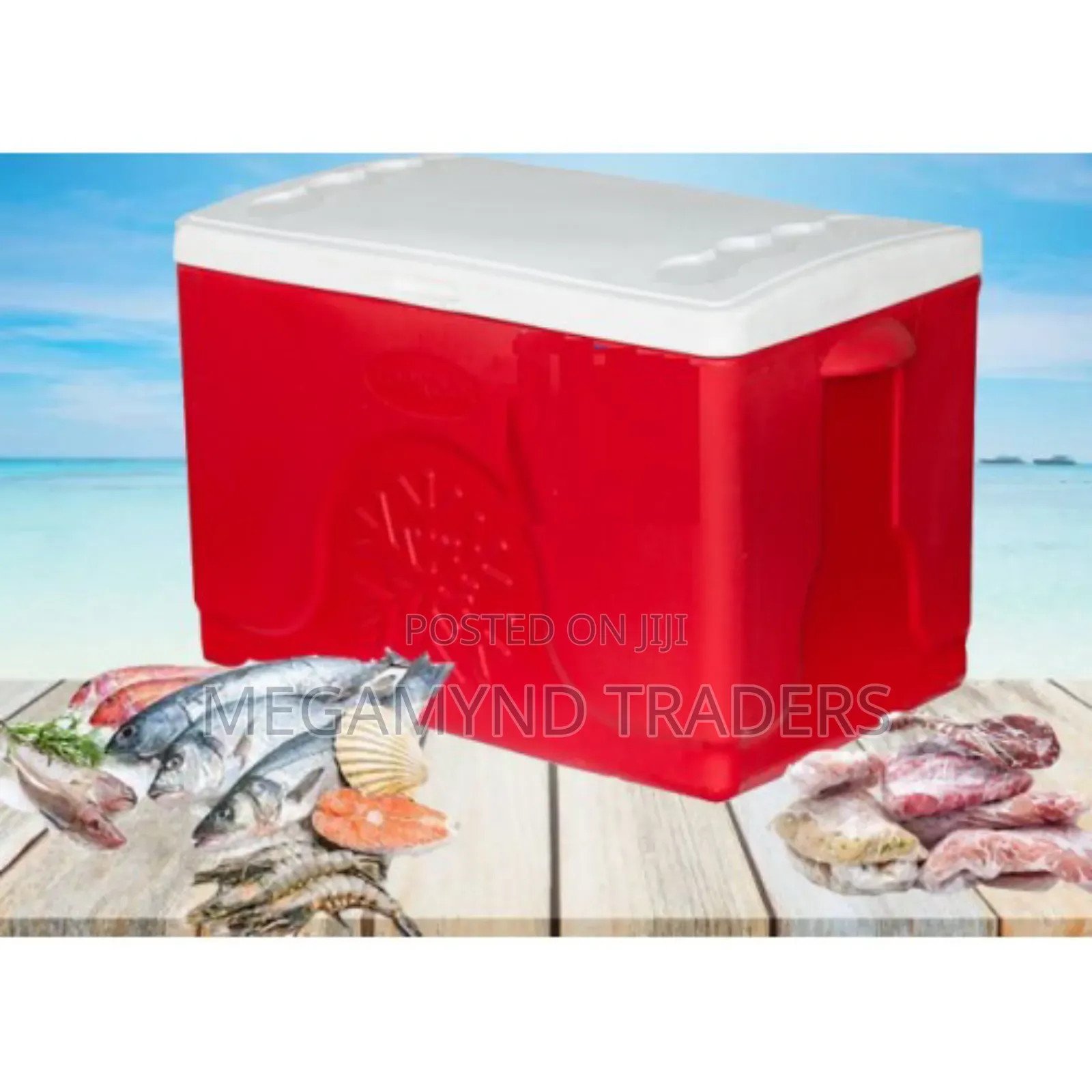 80 LTR Cooler Box/Big Ice Box