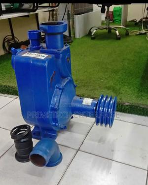 Water Pump Without Engine - thumbnail 2