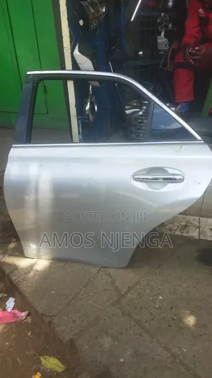 Mark-X 2010 Back Left Door