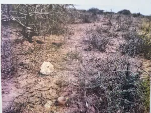11no 50x100 Plots With Title Deeds at Kivandini, Matuu