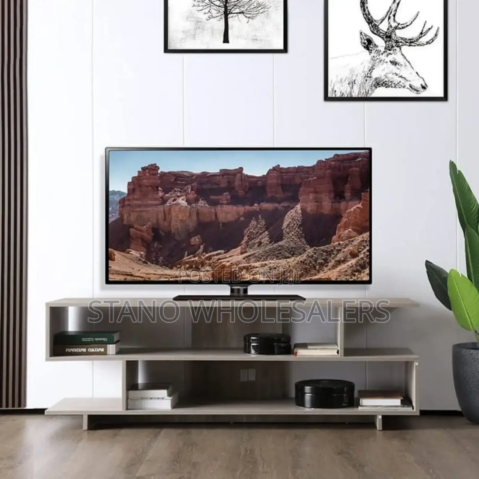 55inch Mexico Tv Stand