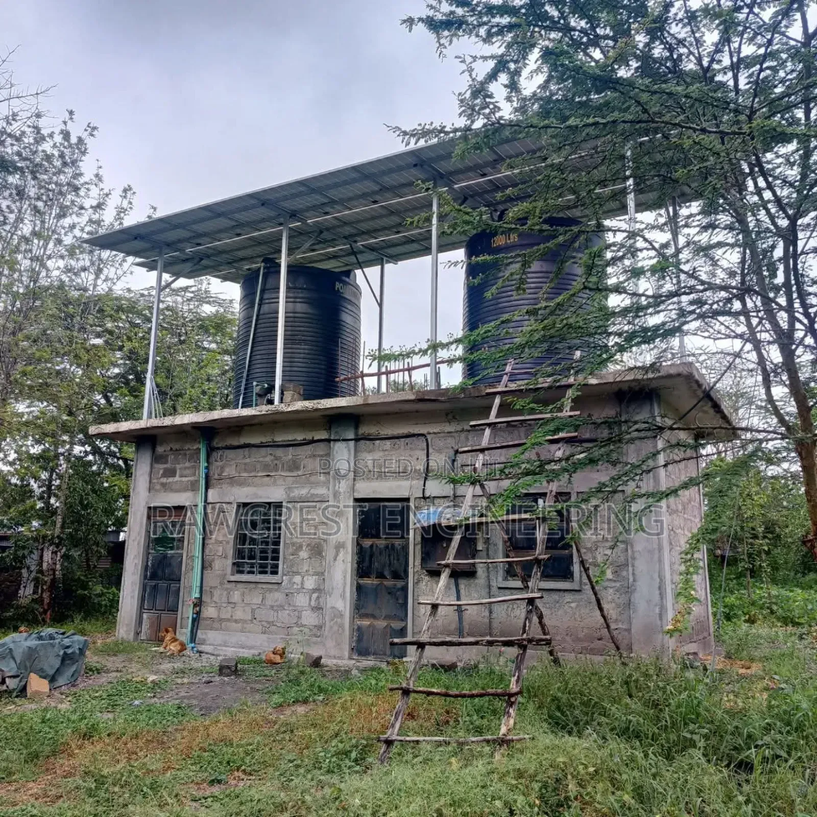 Borehole Solarisation