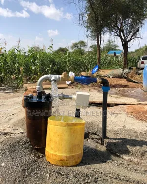 Borehole Equipping And Drilling
