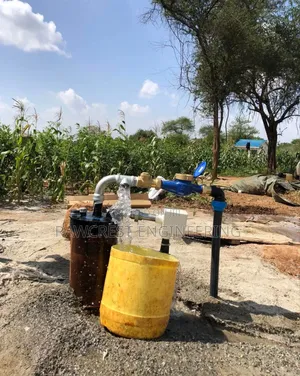 Borehole Equipping And Drilling