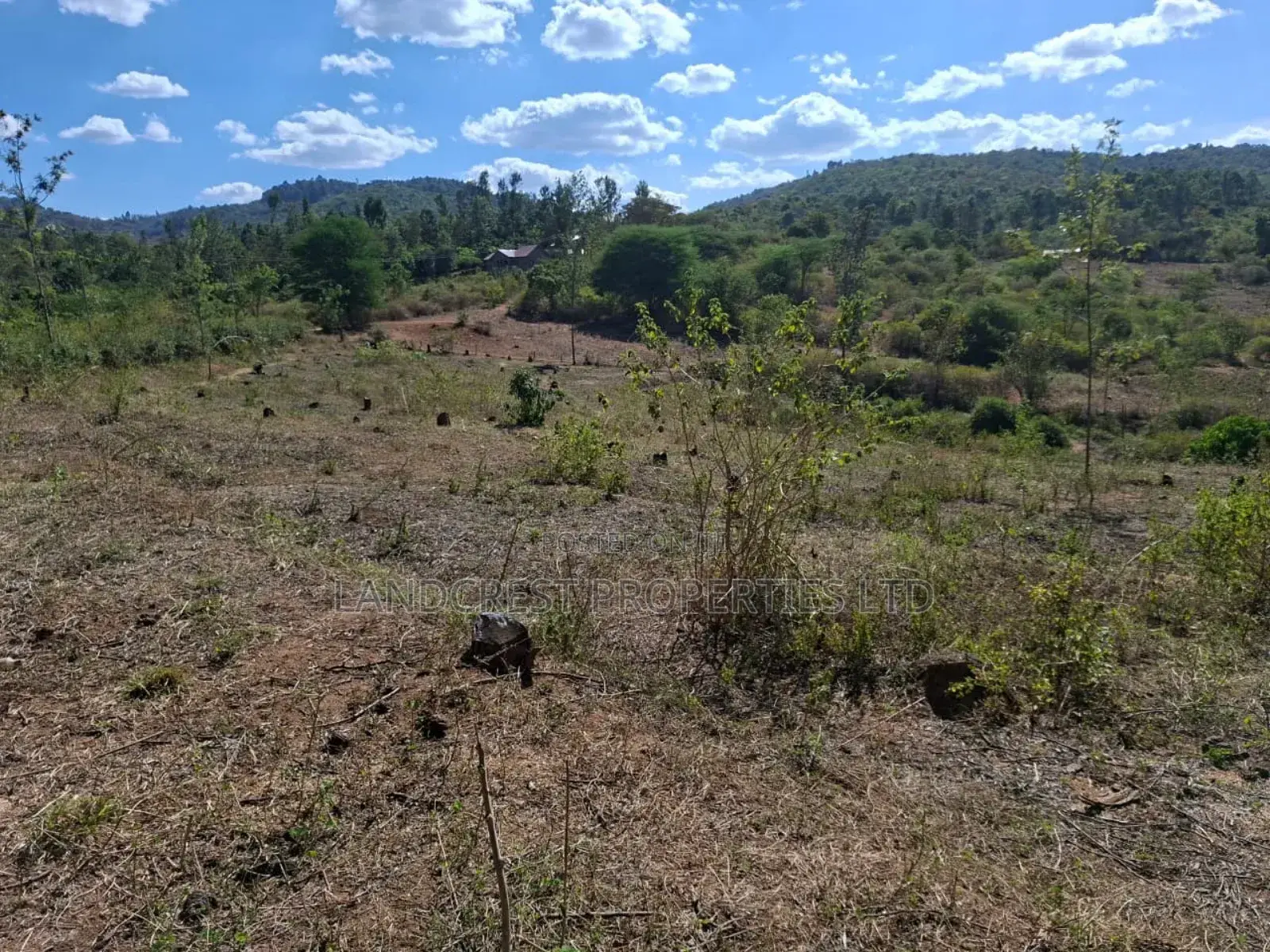3 Acres for Sale in Ndorome Area- Iganjo