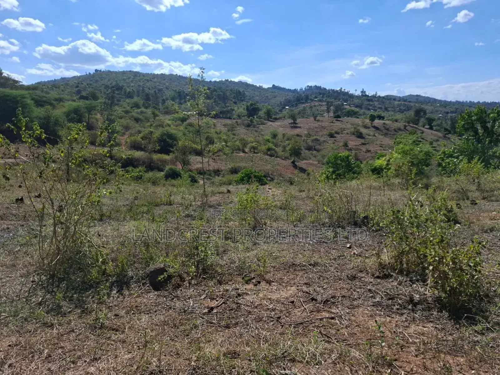 3 Acres for Sale in Ndorome Area- Iganjo