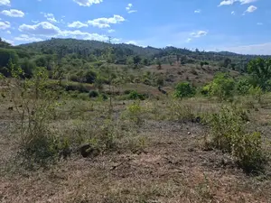 3 Acres for Sale in Ndorome Area- Iganjo