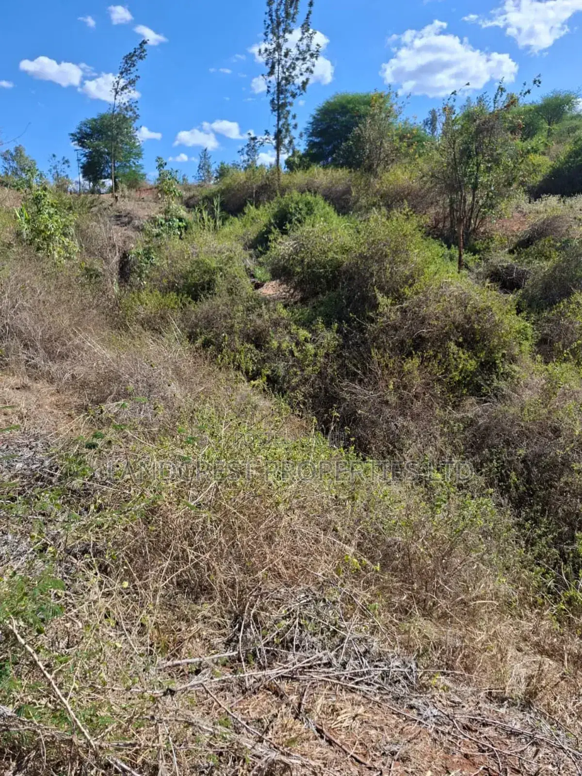 3 Acres for Sale in Ndorome Area- Iganjo
