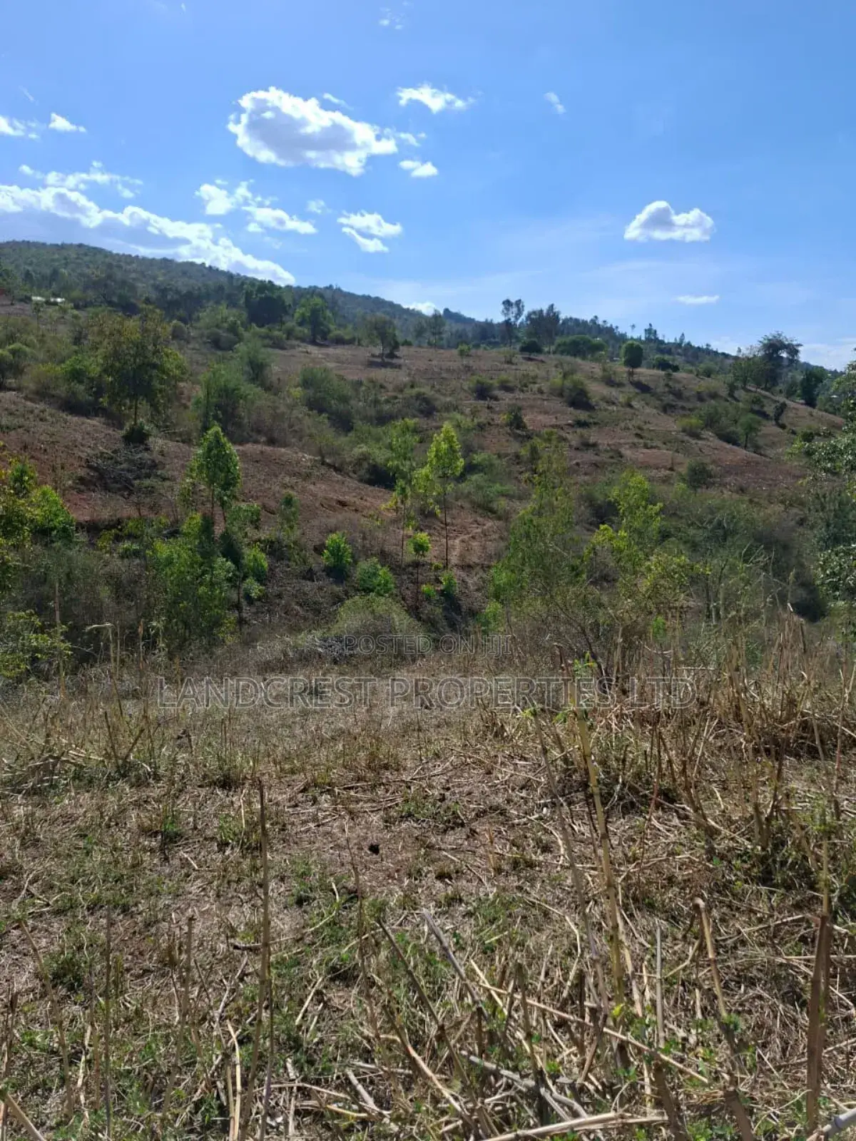 3 Acres for Sale in Ndorome Area- Iganjo