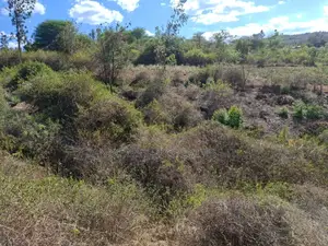 3 Acres for Sale in Ndorome Area- Iganjo