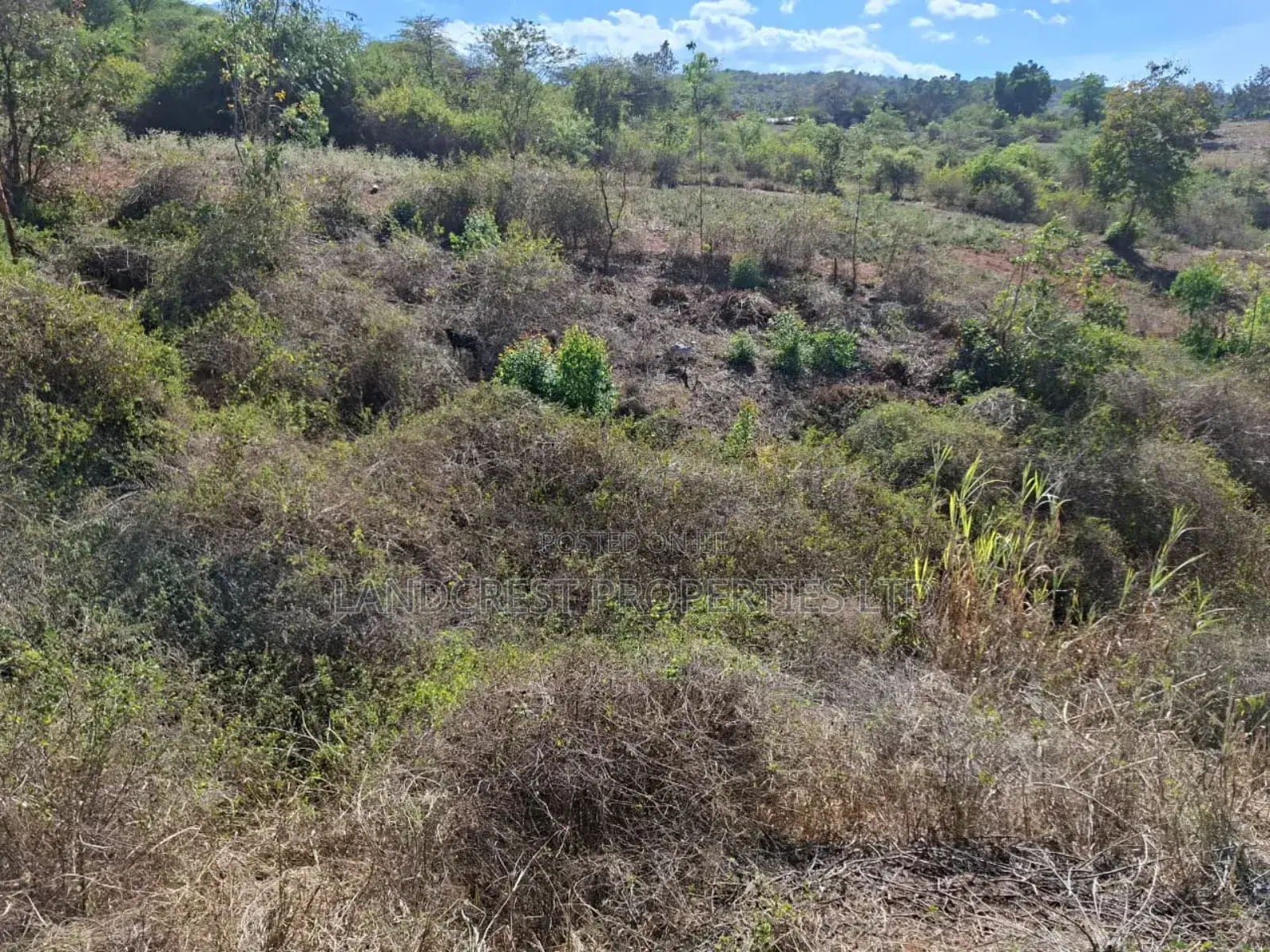 3 Acres for Sale in Ndorome Area- Iganjo