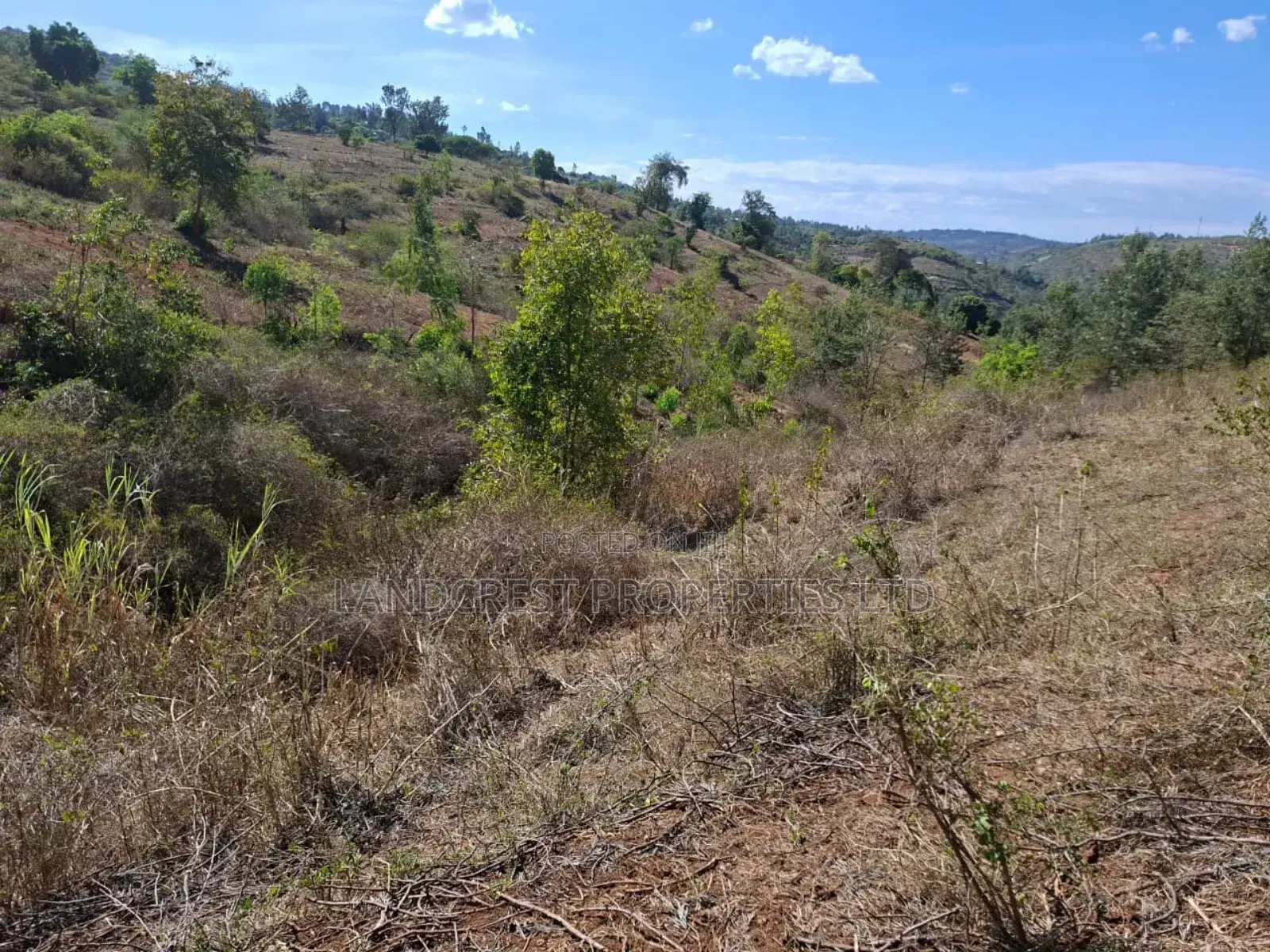 3 Acres for Sale in Ndorome Area- Iganjo