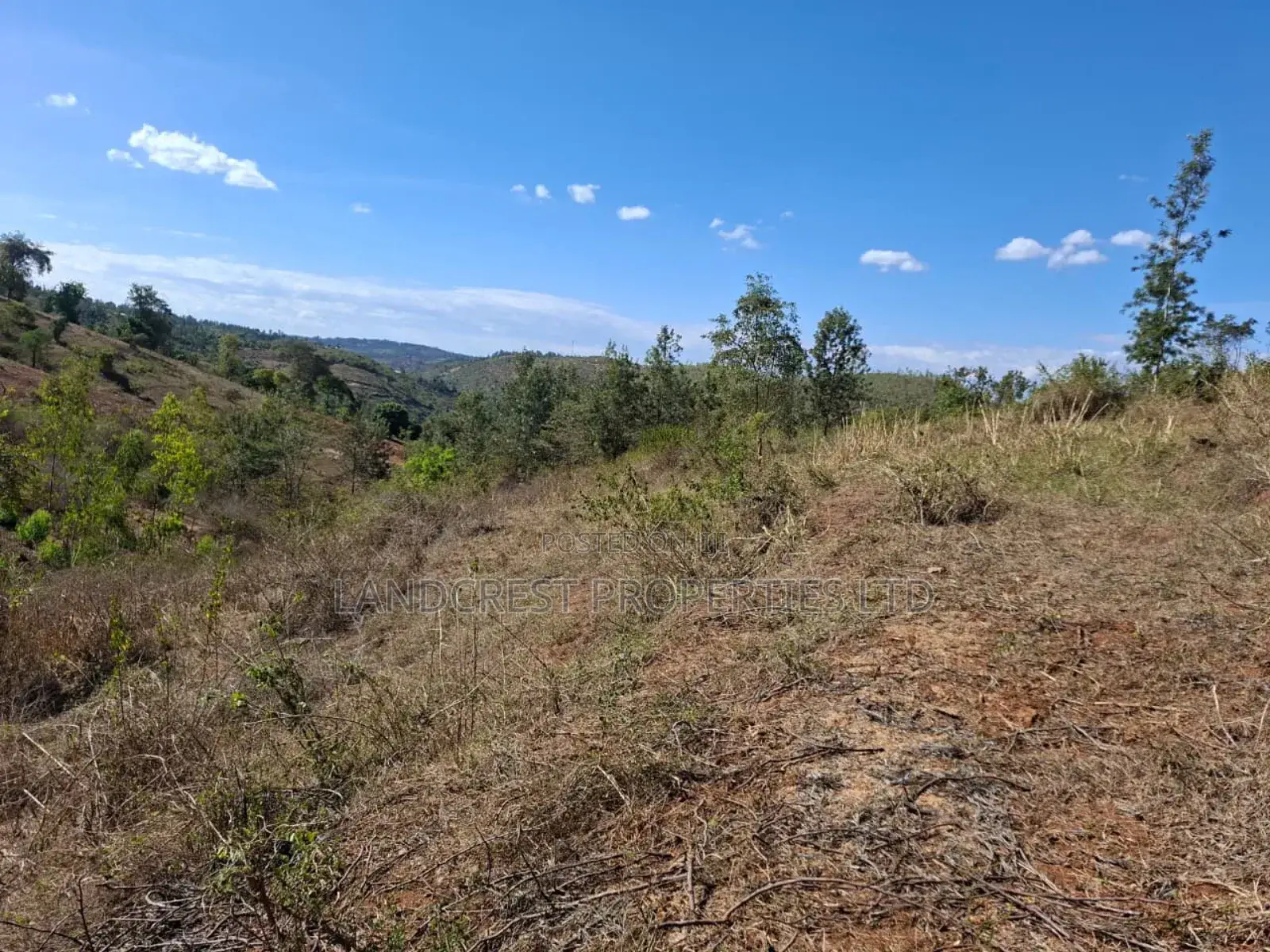 3 Acres for Sale in Ndorome Area- Iganjo