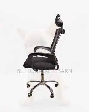 Secretarial Mesh Chair | Executive Tilt Lock Mechanism