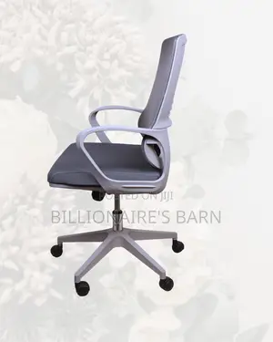 Grey Ergonomic Mesh Office Chair | Imported Swivel Base