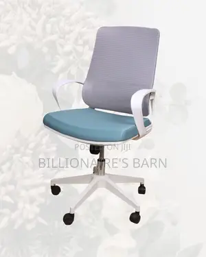 White Ergonomic Mesh Office Chair | Executive Nylon Castors
