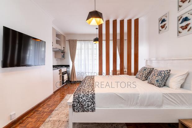 Furnished Studio Apartment in Lavington for rent - main view