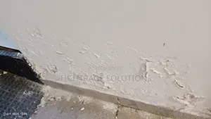 Premium Rising Damp Treatment
