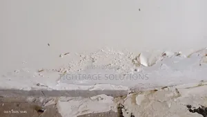 Premium Rising Damp Treatment