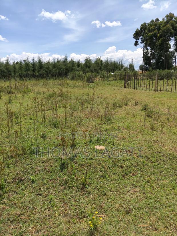 Eldoret Outspan Kiambaa Prime Plot - thumbnail 15