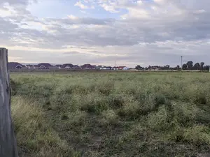 50x100 Plot for Sale in Barnabas Nakuru County.