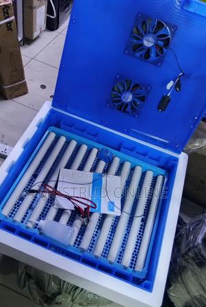 64 Eggs Incubator/ Egg Incubator - thumbnail 2