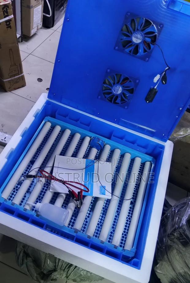 64 Eggs Incubator/ Egg Incubator - main view