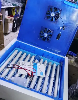 Hatching 64 Eggs Automatic Incubator