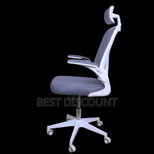 Ergonomic Office Chairs, High Back