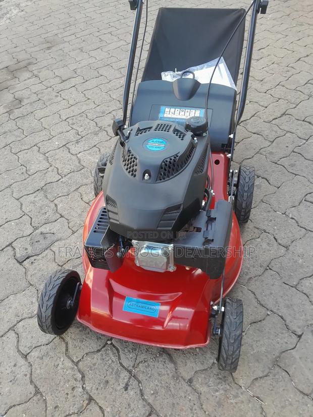 Turf Mower Machine /Grass Cutter - main view
