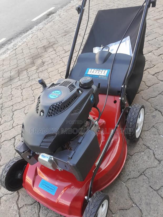 Turf Mower Machine /Grass Cutter - thumbnail 2