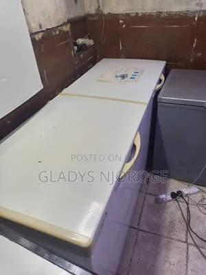 Well Maintained Freezer Fridge (800l)