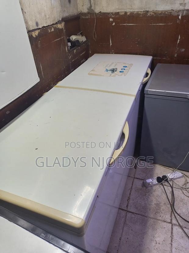 Well Maintained Freezer Fridge (800l)