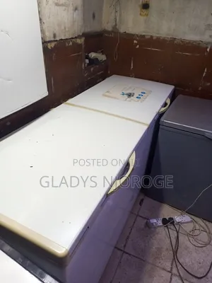 Well Maintained Freezer Fridge (800l)