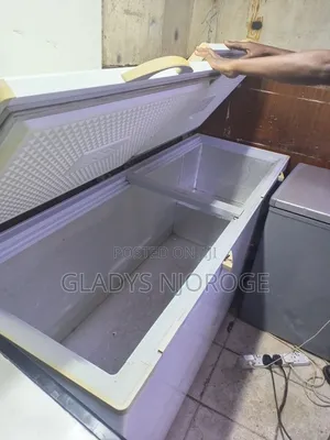 Well Maintained Freezer Fridge (800l)