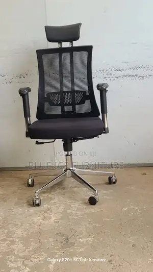 Orthopedic Office Chair