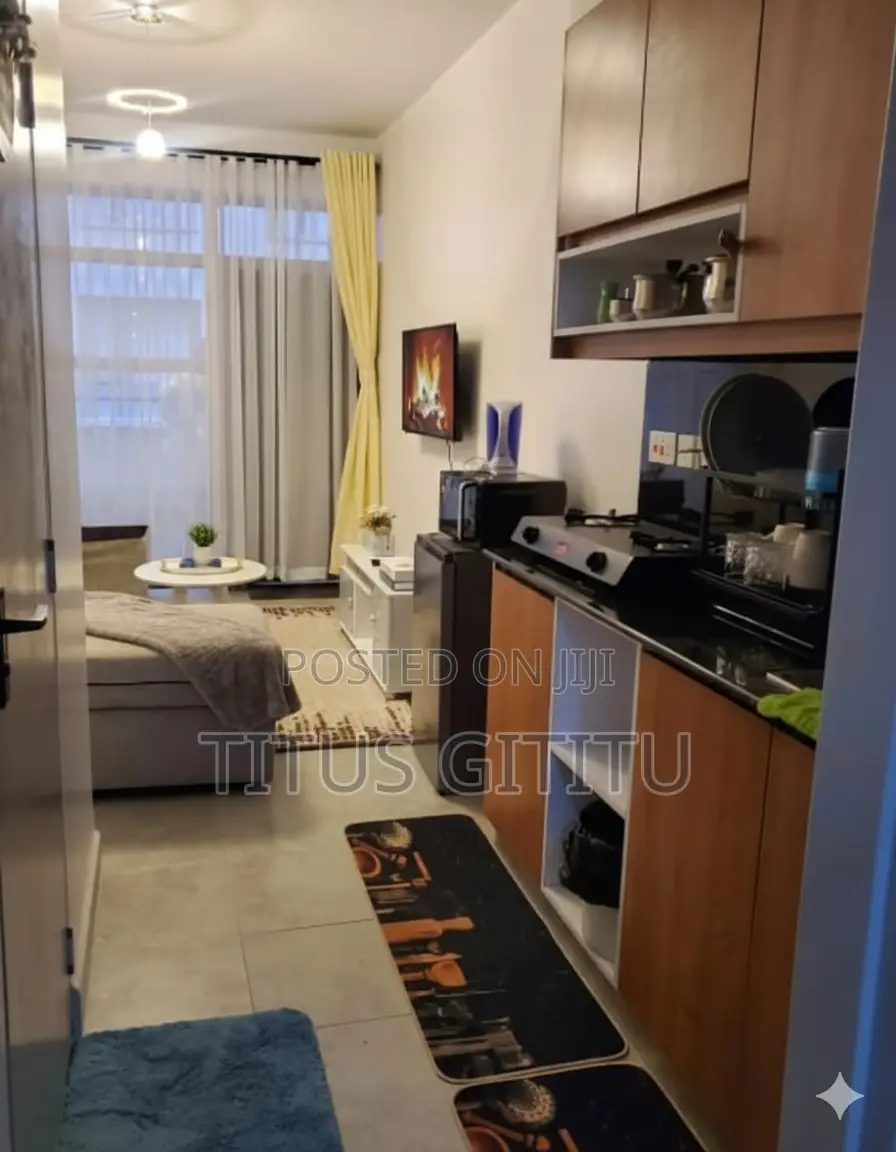 Beautiful 1 Bedroom Airbnb Near Trm, Roysambu| Furnished| Free Parking