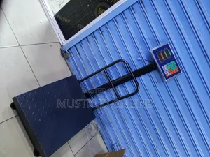 300kg Big Base Digital Weighing Scale