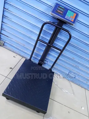 Most Accurate 300kgs Digital Weighing Scale