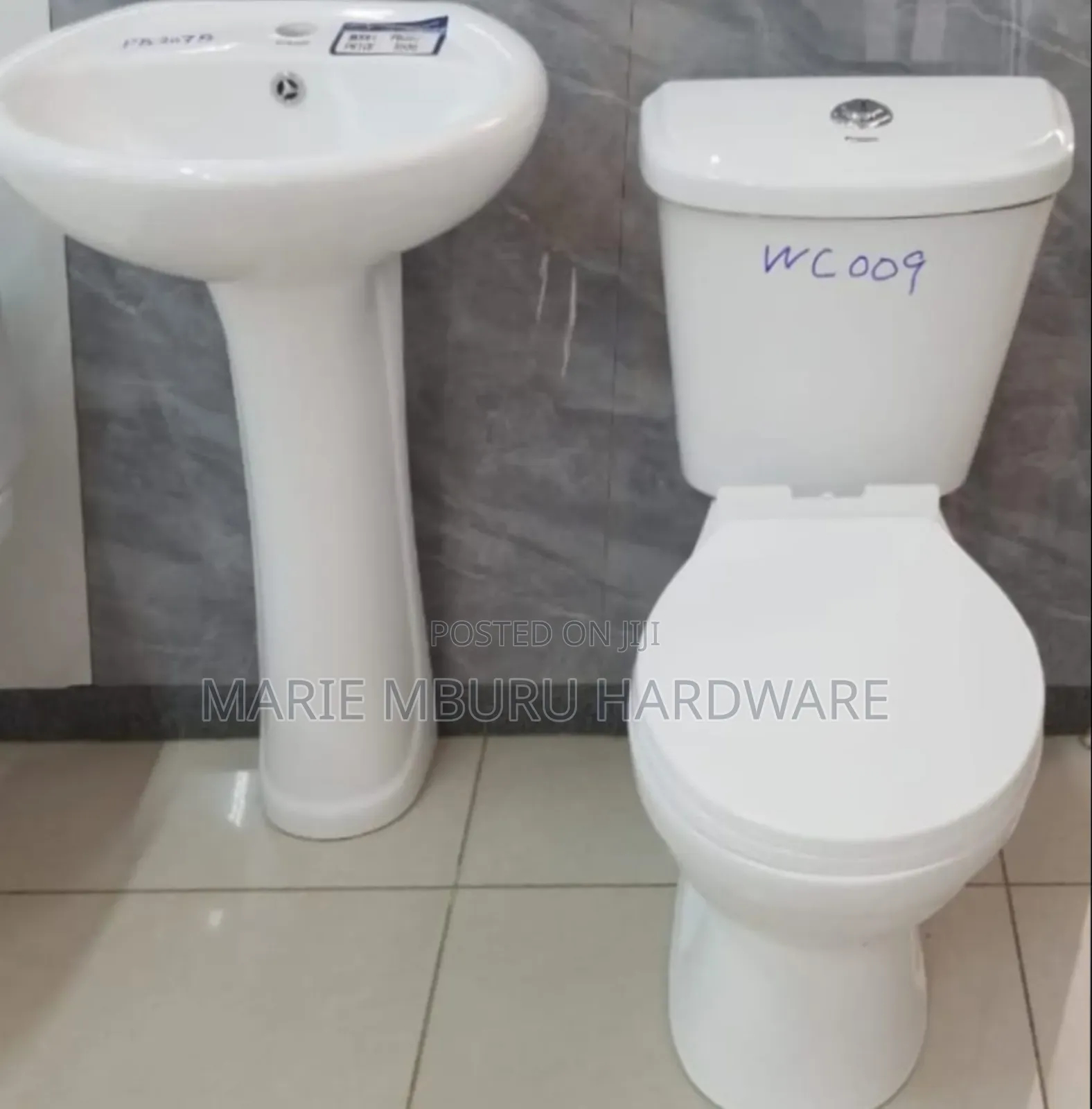 Toilet Asian