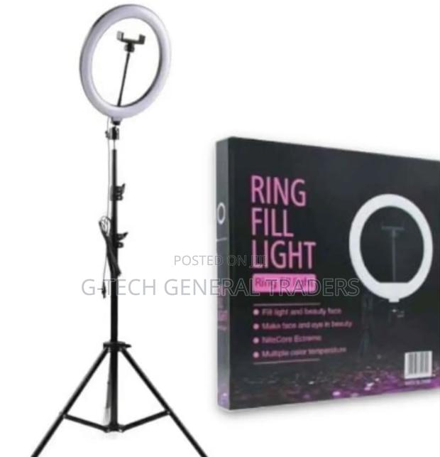 Light Fill 10inch Ring Light With Adjustable Tripod Stand - main view