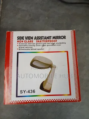 Car Lion Mirror -