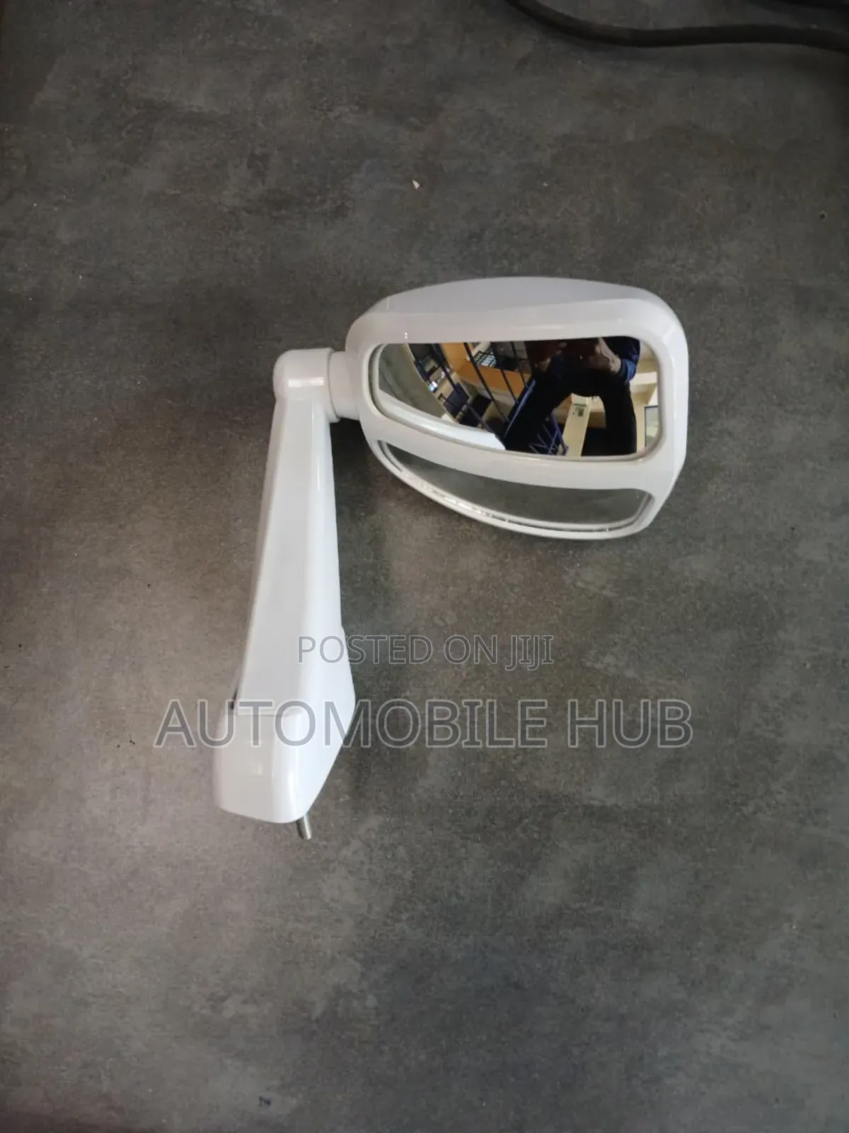 Car Lion Mirror -