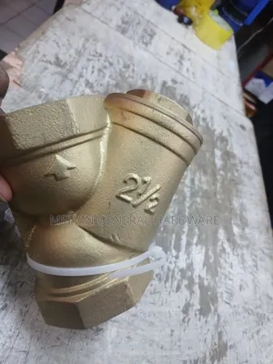 Y Strainer 21/2"