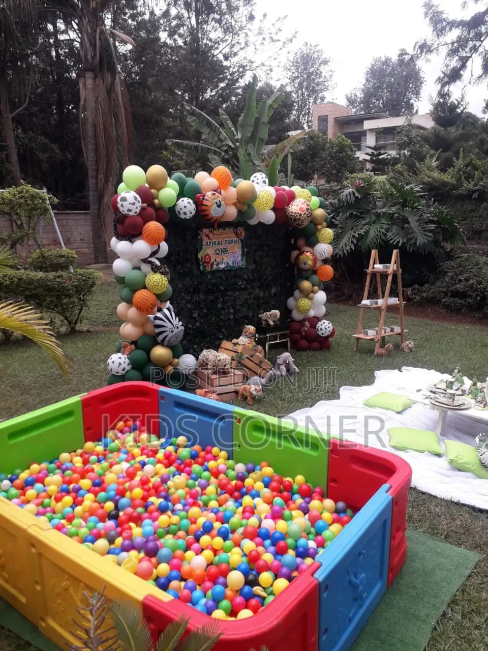Ball Pit/Ball Pool Activities